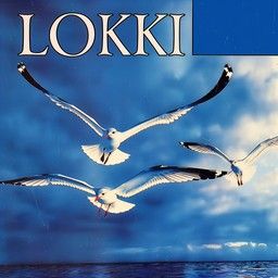 Lokki