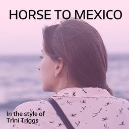 Horse To Mexico