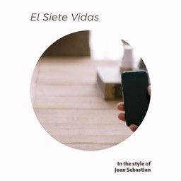 El Siete Vidas