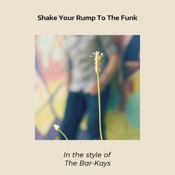 Shake Your Rump To The Funk