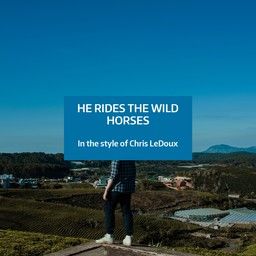 He Rides The Wild Horses