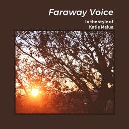 Faraway Voice