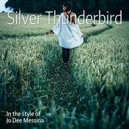 Silver Thunderbird
