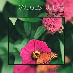 Kauges külas