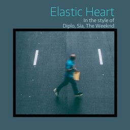 Elastic Heart