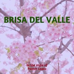 Brisa Del Valle