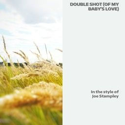 Double Shot (Of My Baby's Love)