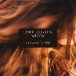Look Through Any Window
