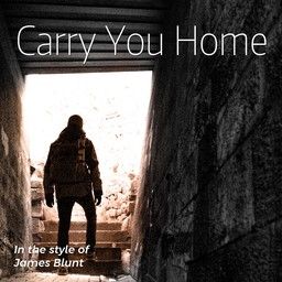 Carry You Home