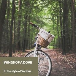 Wings of a Dove