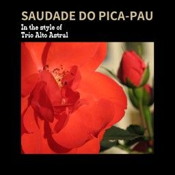 Saudade Do Pica-Pau