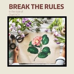 Break The Rules