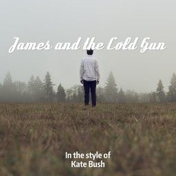 James and the Cold Gun