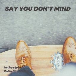 Say You Don't Mind