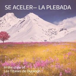 Se Aceler— La Plebada