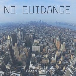 No Guidance