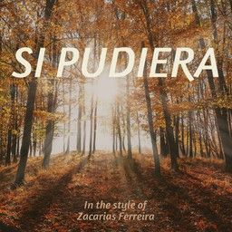 Si Pudiera