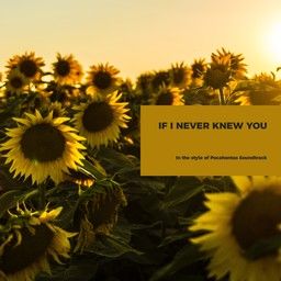 If I Never Knew You