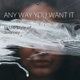 Any Way You Want It