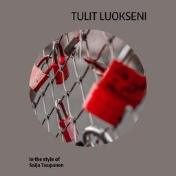 Tulit luokseni