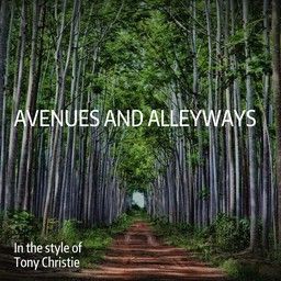 Avenues And Alleyways
