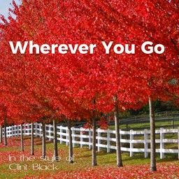 Wherever You Go