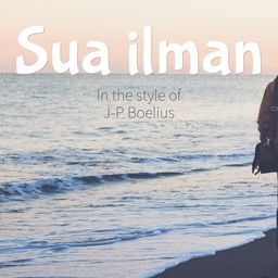 Sua ilman