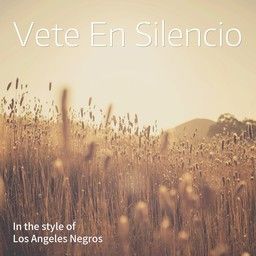 Vete En Silencio