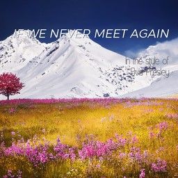 If We Never Meet Again