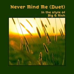 Never Mind Me (Duet)