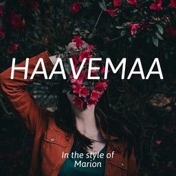 Haavemaa